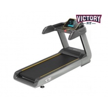   VictoryFit Gym-3000